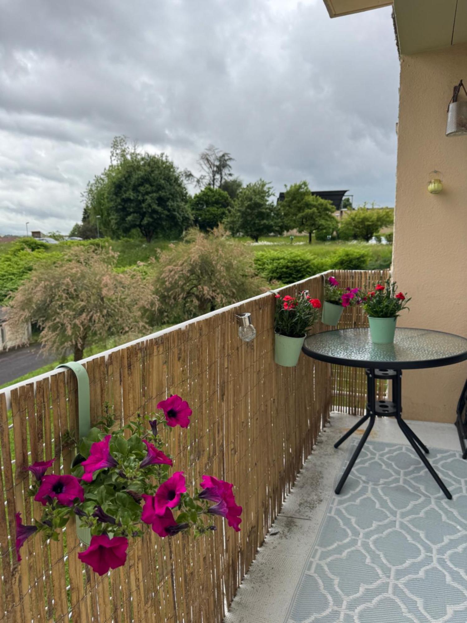 Appartement Chaleureux Et Spacieux T3 Limoges Kültér fotó